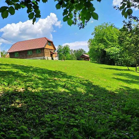 Bakina Iza Villa Duga Resa Buitenkant foto