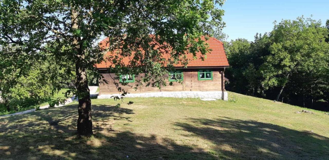 Bakina Iza Villa Duga Resa Buitenkant foto