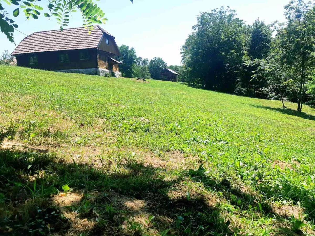 Bakina Iza Villa Duga Resa Buitenkant foto