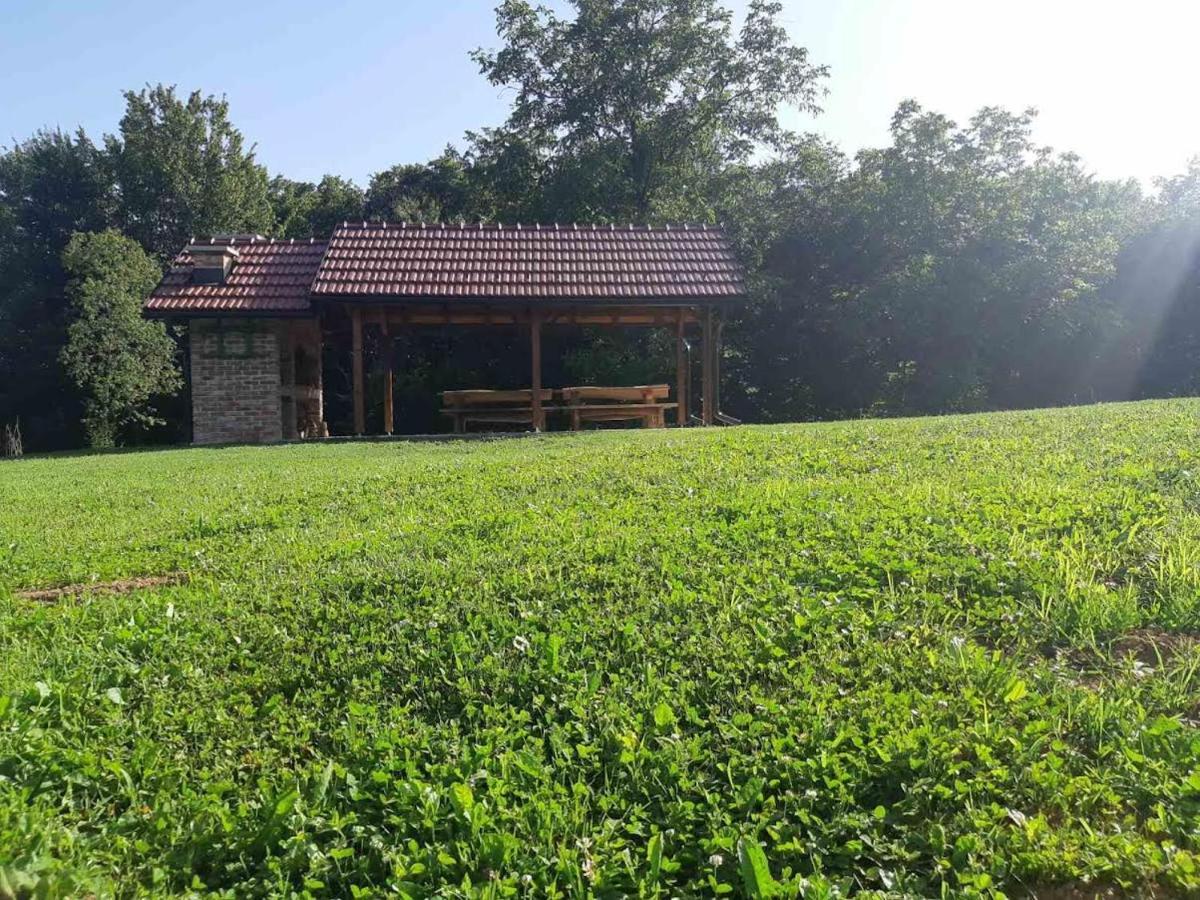Bakina Iza Villa Duga Resa Buitenkant foto