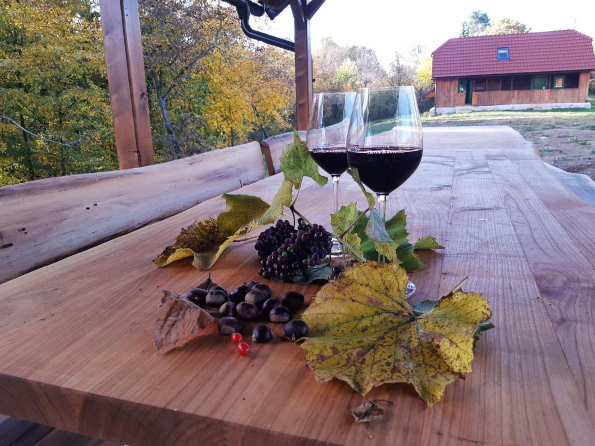 Bakina Iza Villa Duga Resa Buitenkant foto