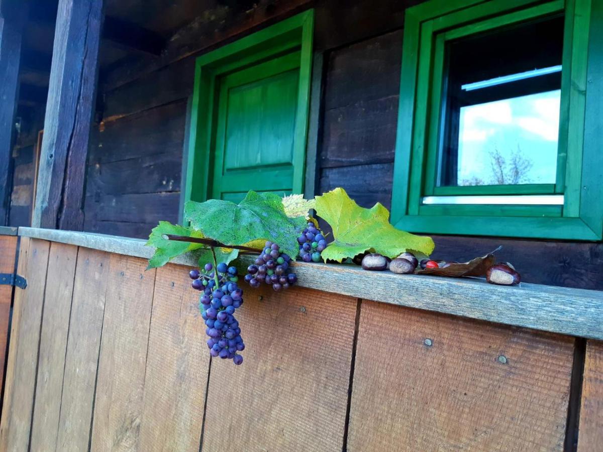 Bakina Iza Villa Duga Resa Buitenkant foto