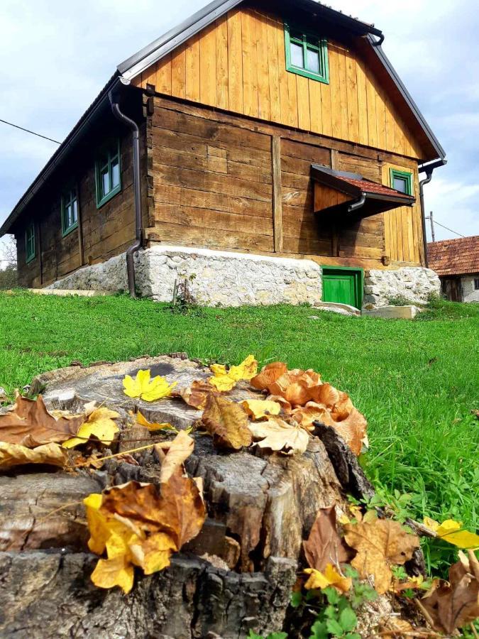 Bakina Iza Villa Duga Resa Buitenkant foto