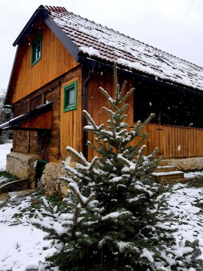 Bakina Iza Villa Duga Resa Buitenkant foto