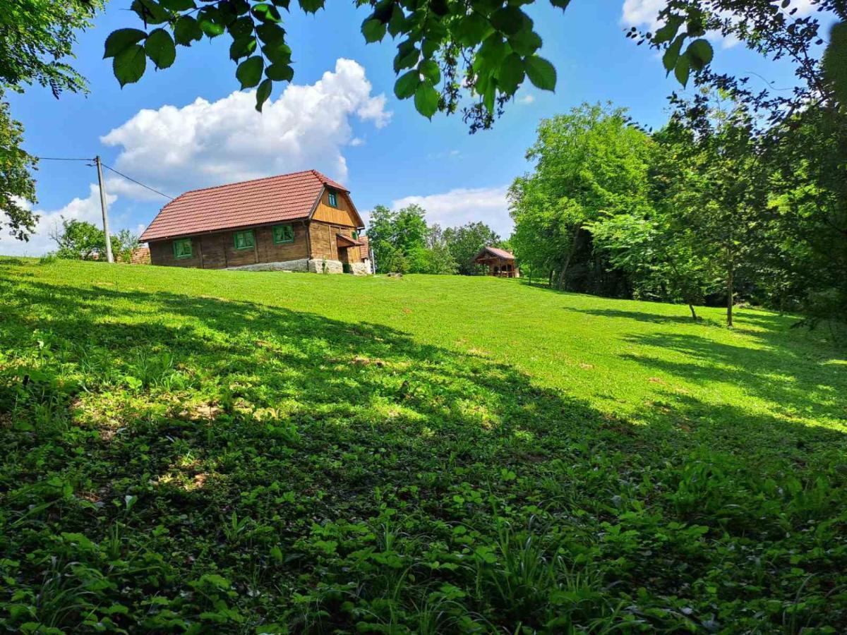 Bakina Iza Villa Duga Resa Buitenkant foto